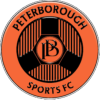 彼德堡体育队标